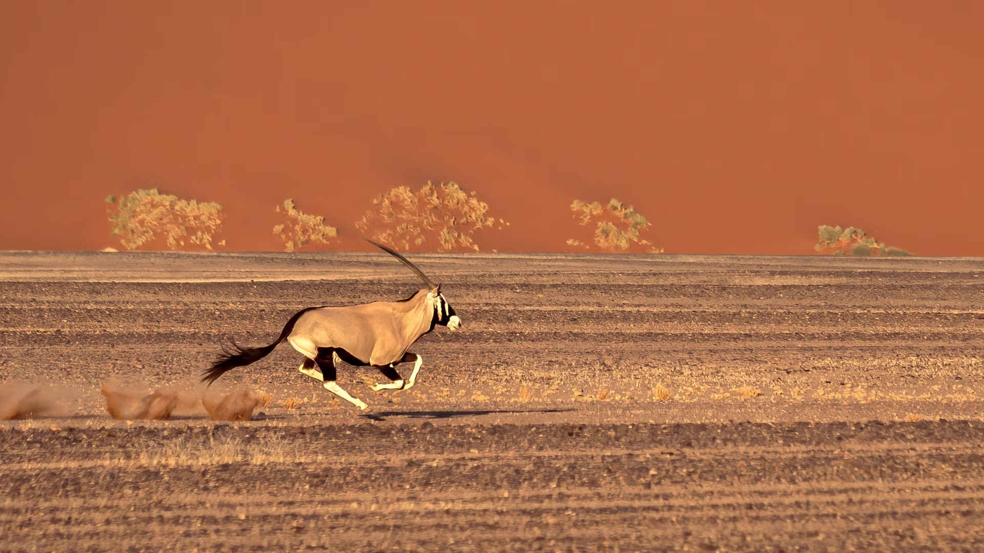 Namibia Autentica