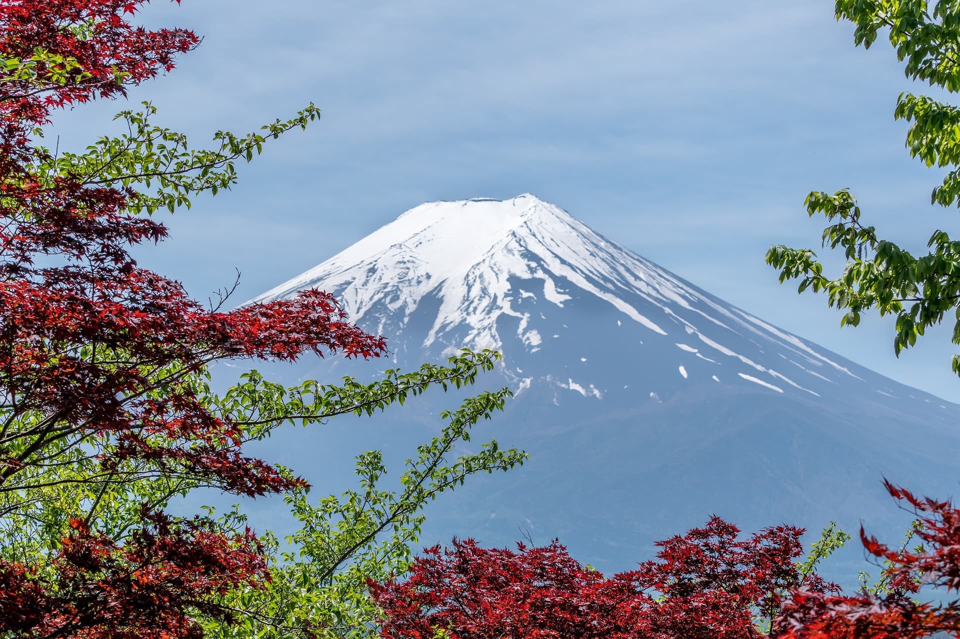Bellissime immagini di un Viaggio in Giappone