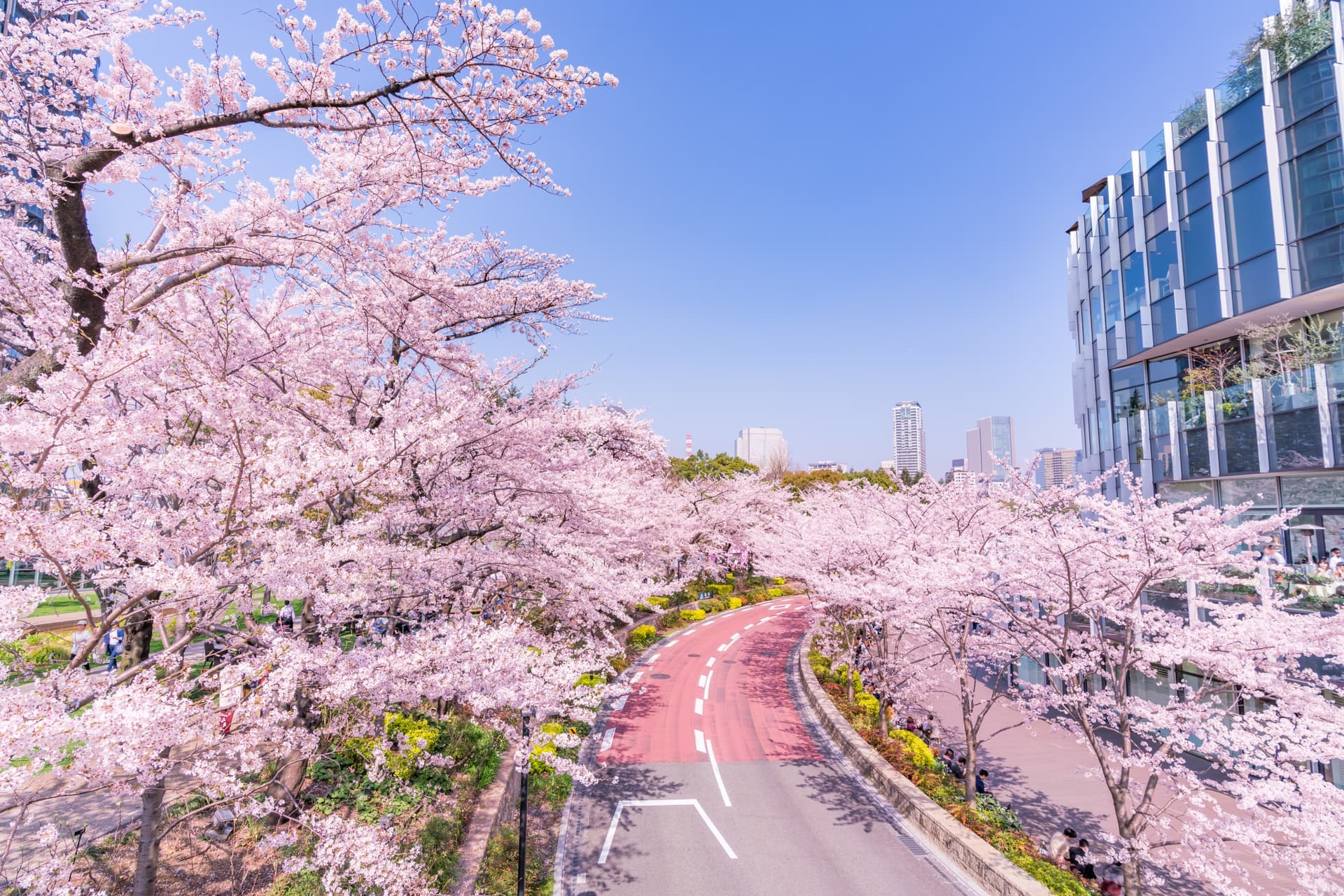 La Torre Mori e la sua vista su Roppongi e Ginza