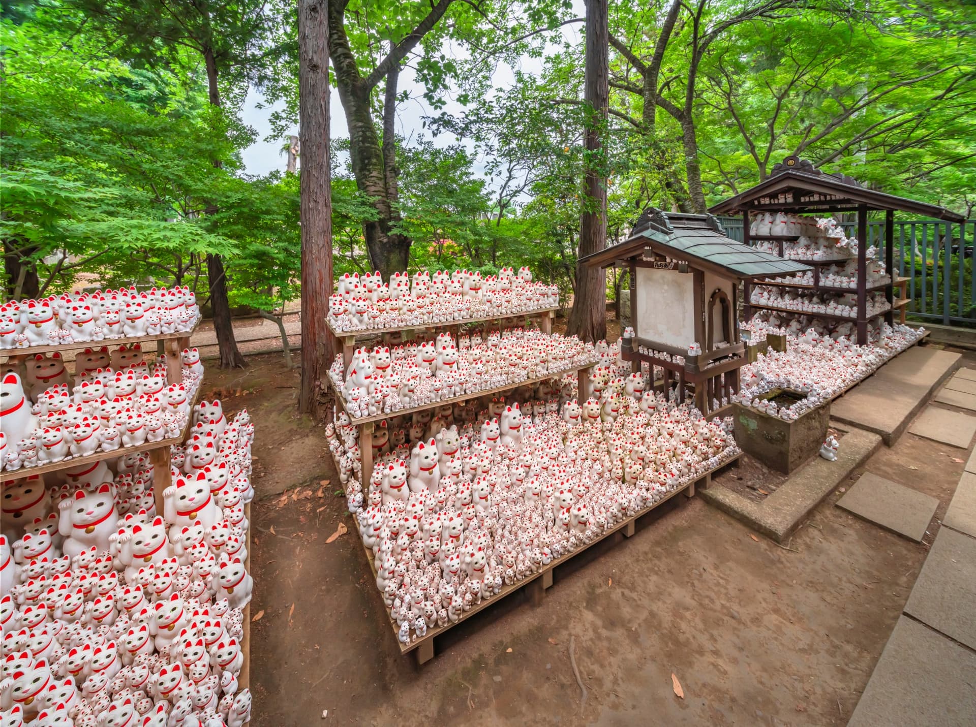 Questi templi e santuari atipici da non perdere a Tokyo