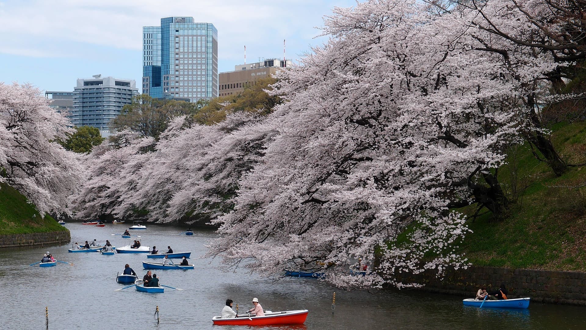 Cosa visitare a Tokyo, i consigli di Diane