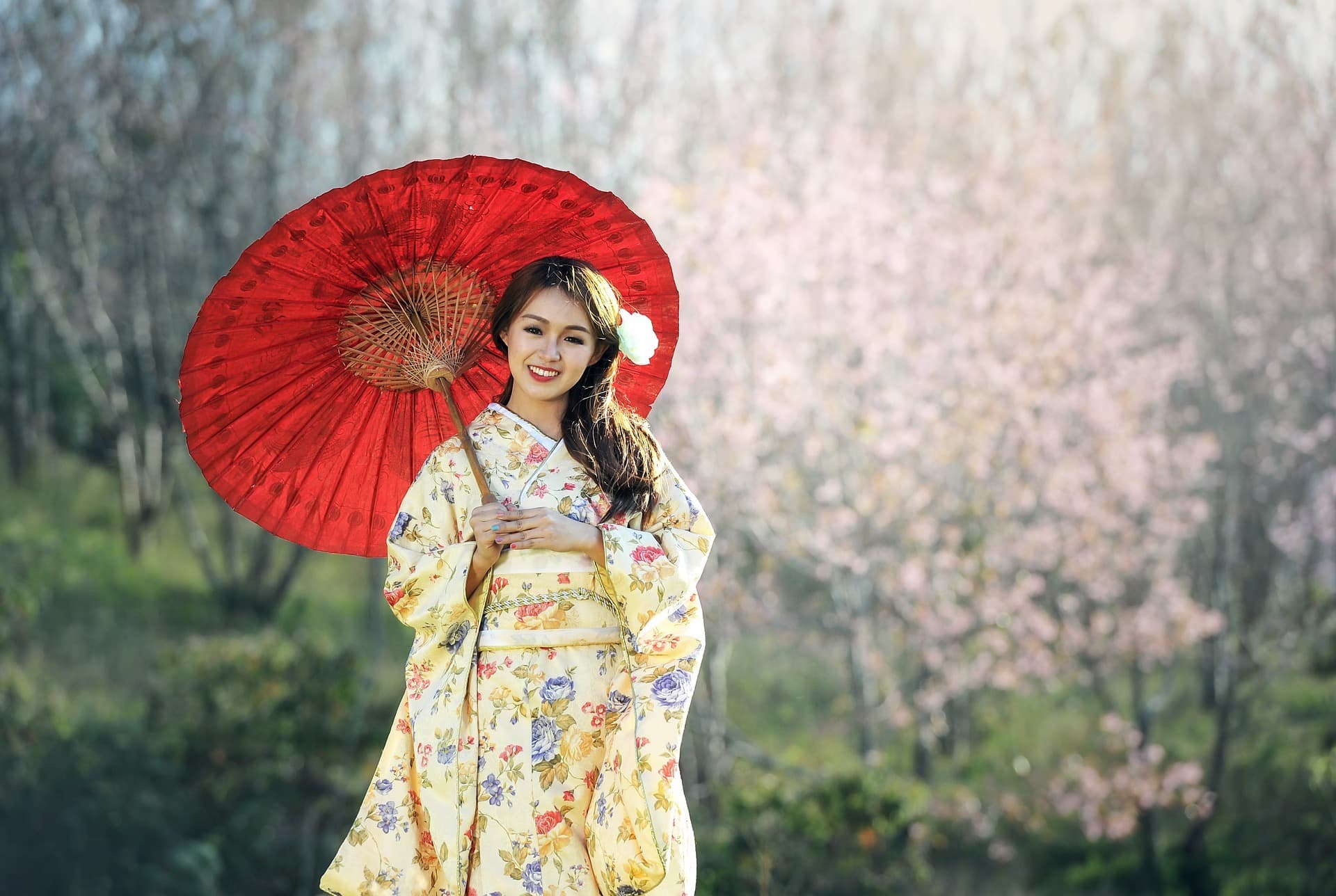 Scopri cosa visitare a Kyoto in video (5 minuti)